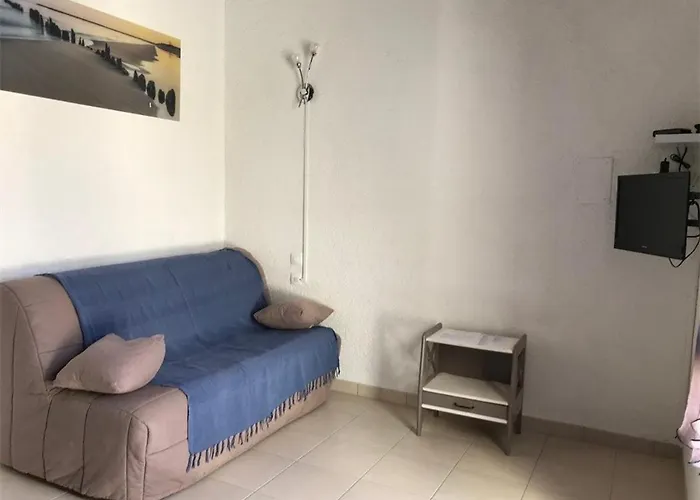 아파트 T2 Mezzanine, 6 Couchages, Bord De Plage, Parking Prive, Proche Commerces Et Aqualand - Fr-1-81-47 *